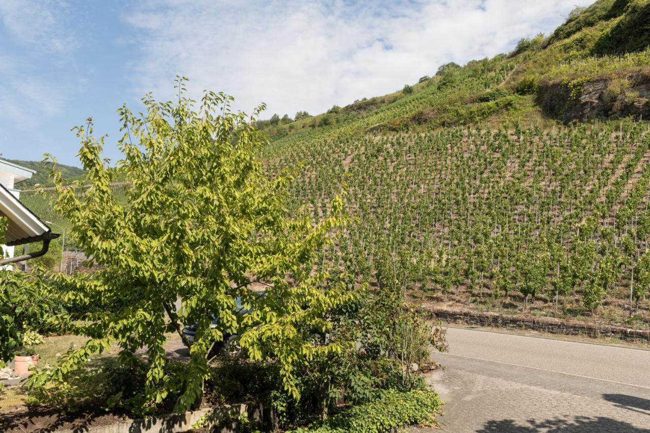 Hotel Garni "Cafe Im Hamm" Zell an der Mosel Exterior photo